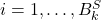 i=1,\ldots,B_{k}^{S}