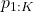 p_{1:K}