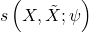 s\left(X,\tilde{X};\psi\right)