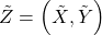 \tilde{Z}=\left(\tilde{X},\tilde{Y}\right)