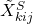 \tilde{X}^S_{kij}