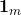 \boldsymbol{1}_{m}