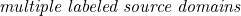 \emph{multiple labeled source domains}