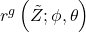 r^{g}\left(\tilde{Z};\phi,\theta\right)