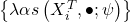 \left\{ \lambda\alpha s\left(X_{i}^{T},\bullet;\psi\right)\right\}
