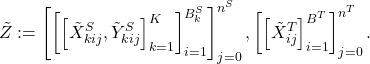 \[\tilde{Z}:=\left[\left[\left[\tilde{X}_{kij}^{S},\tilde{Y}_{kij}^{S}\right]_{k=1}^{K}\right]_{i=1}^{B_{k}^{S}}\right]_{j=0}^{n^{S}},\left[\left[\tilde{X}_{ij}^{T}\right]_{i=1}^{B^{T}}\right]_{j=0}^{n^{T}}.\]