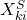 X^S_{ki}